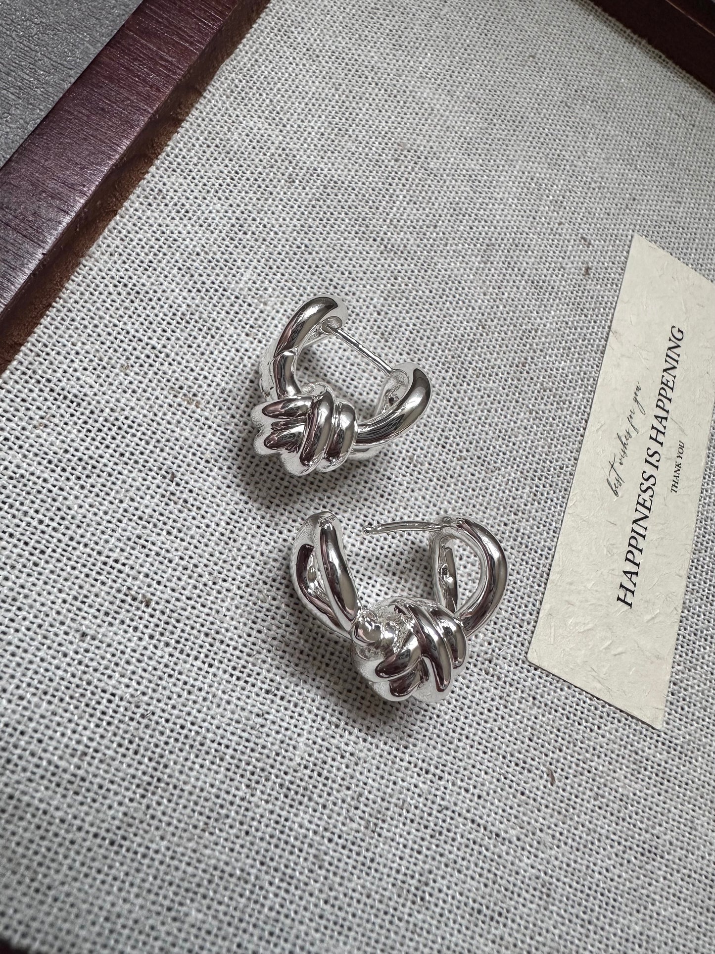 Infinite Orbit Earring
