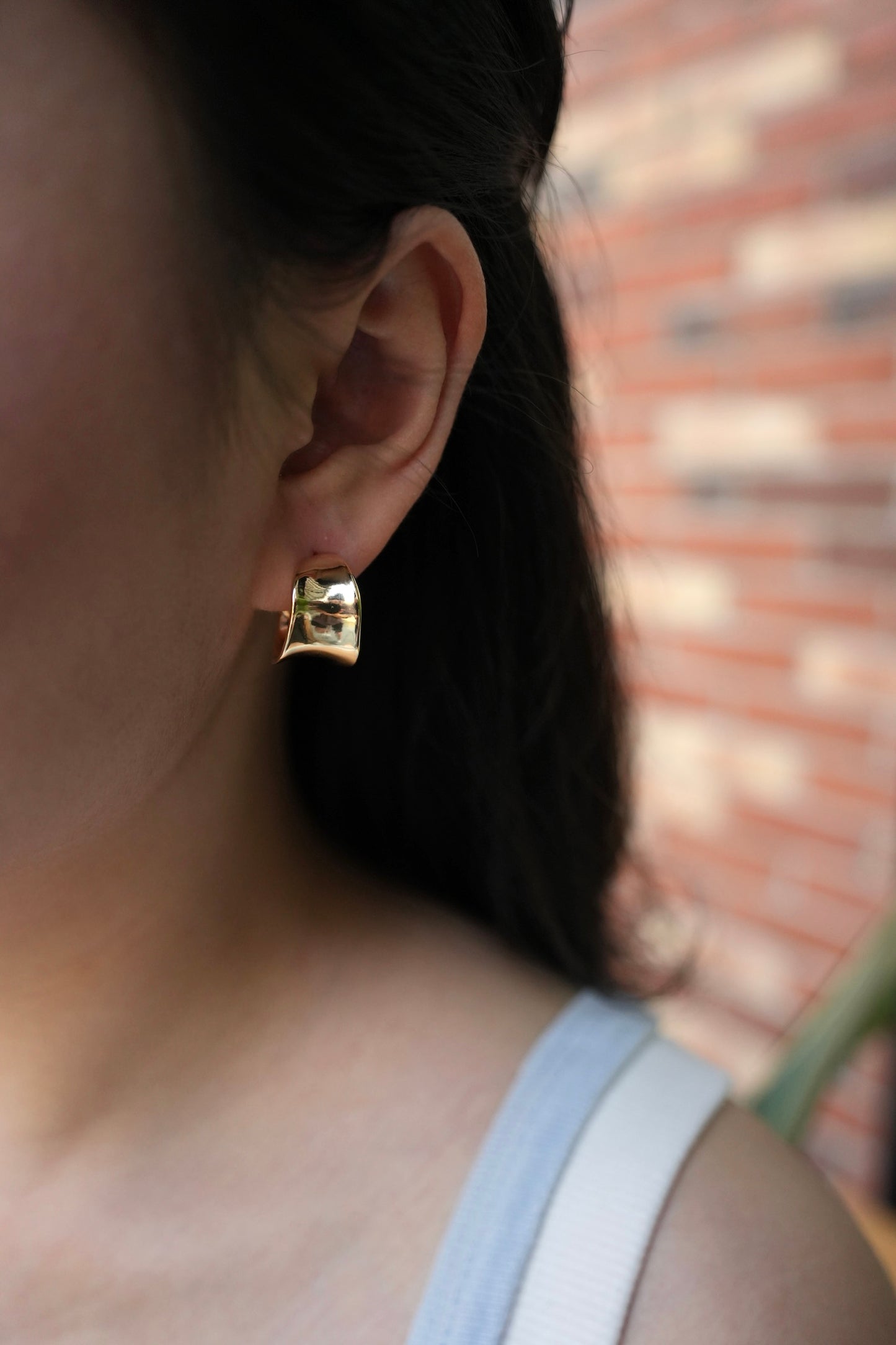 Curved Steel Earring