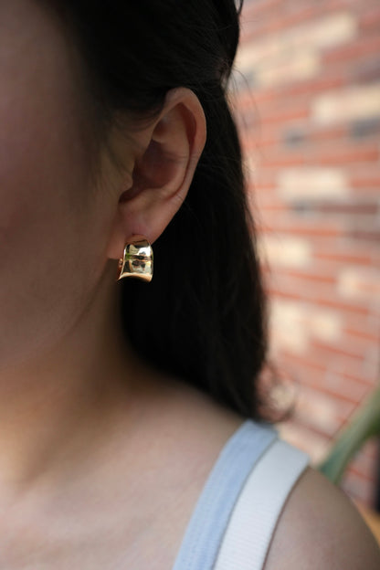 Curved Steel Earring