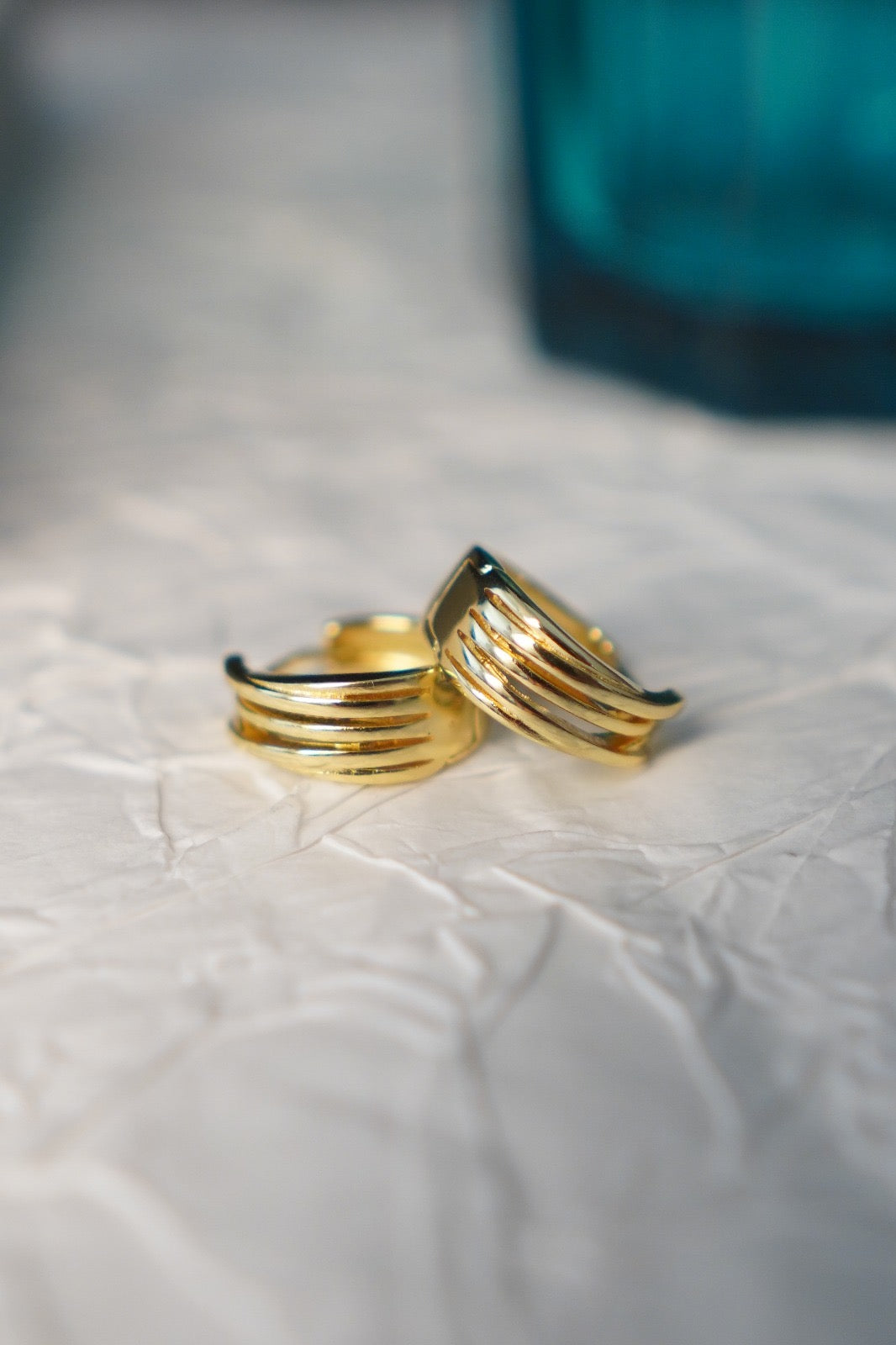 Fang circle earring