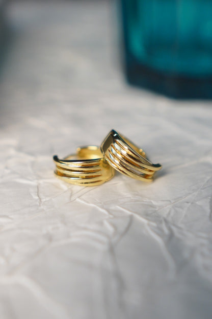 Fang circle earring