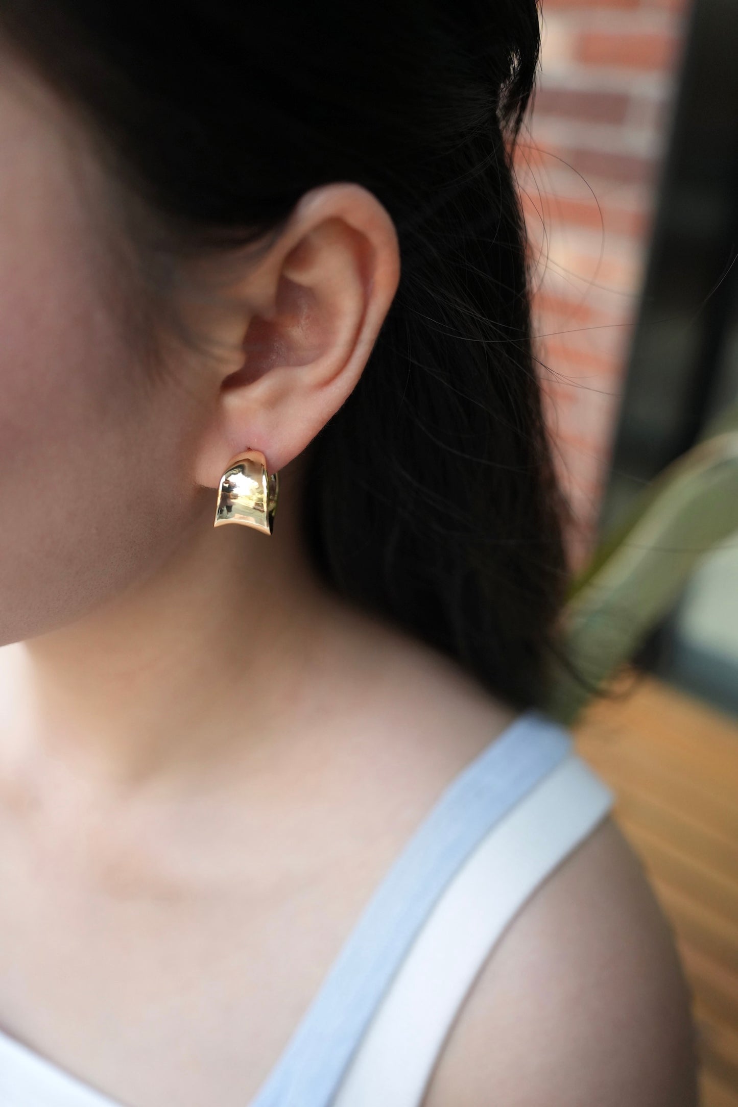 Curved Steel Earring