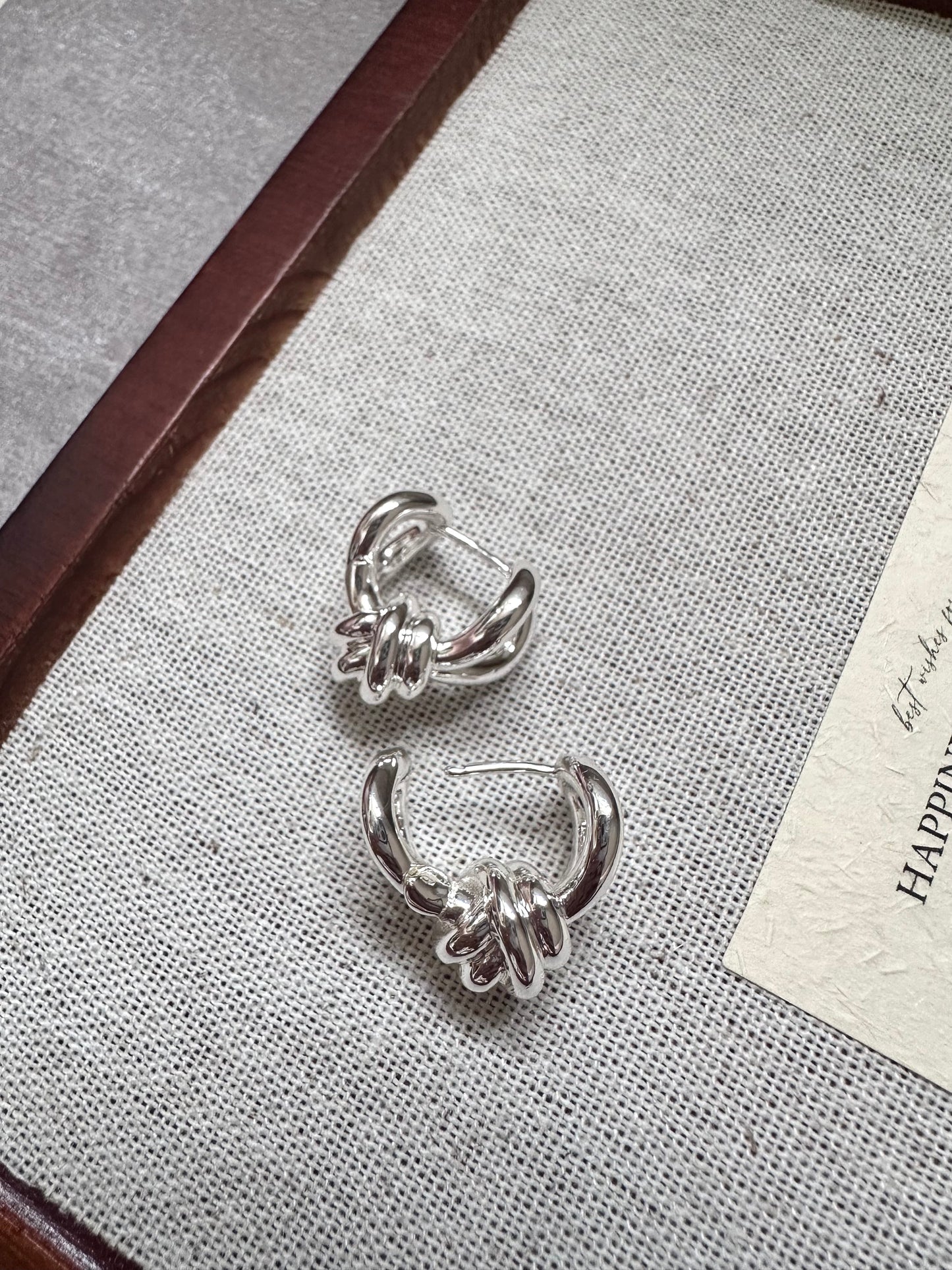 Infinite Orbit Earring